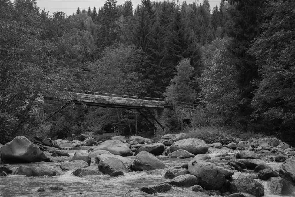 Wood bridge over the Rhine (GR) / Switzerland